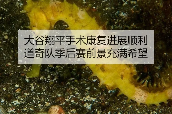 da-gu-xiang-ping-shou-shu-kang-fu-jin-zhan-shun-li-dao-qi-dui-ji-hou-sai-qian-jing-chong-man-xi-wang-2-399.jpg