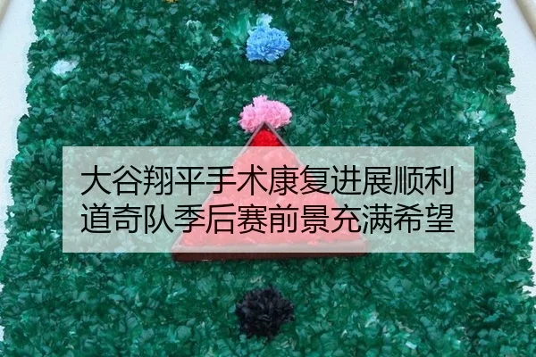 大谷翔平手术康复进展顺利 道奇队季后赛前景充满希望